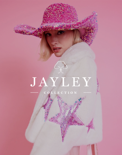 Кейс Jayley